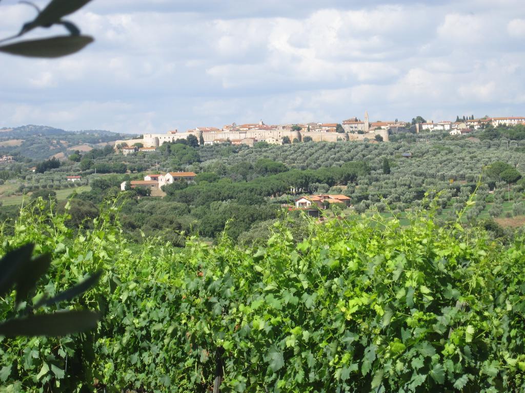 Agriturismo La Carlina Villa Magliano in Toscana Exterior foto