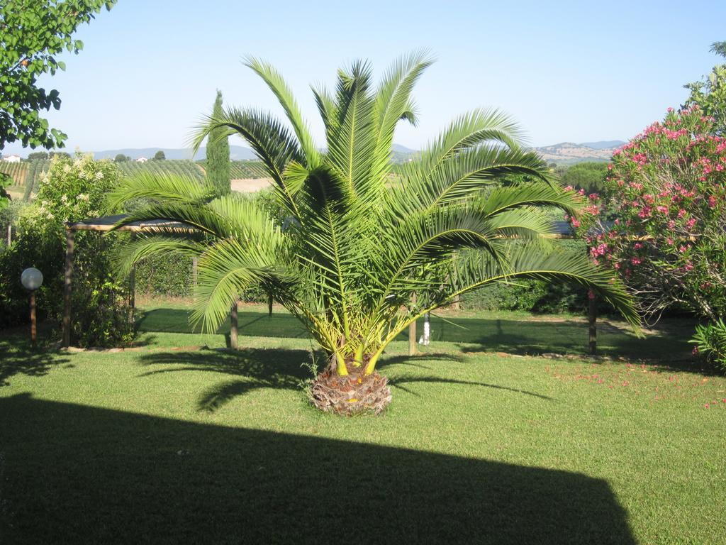 Agriturismo La Carlina Villa Magliano in Toscana Exterior foto