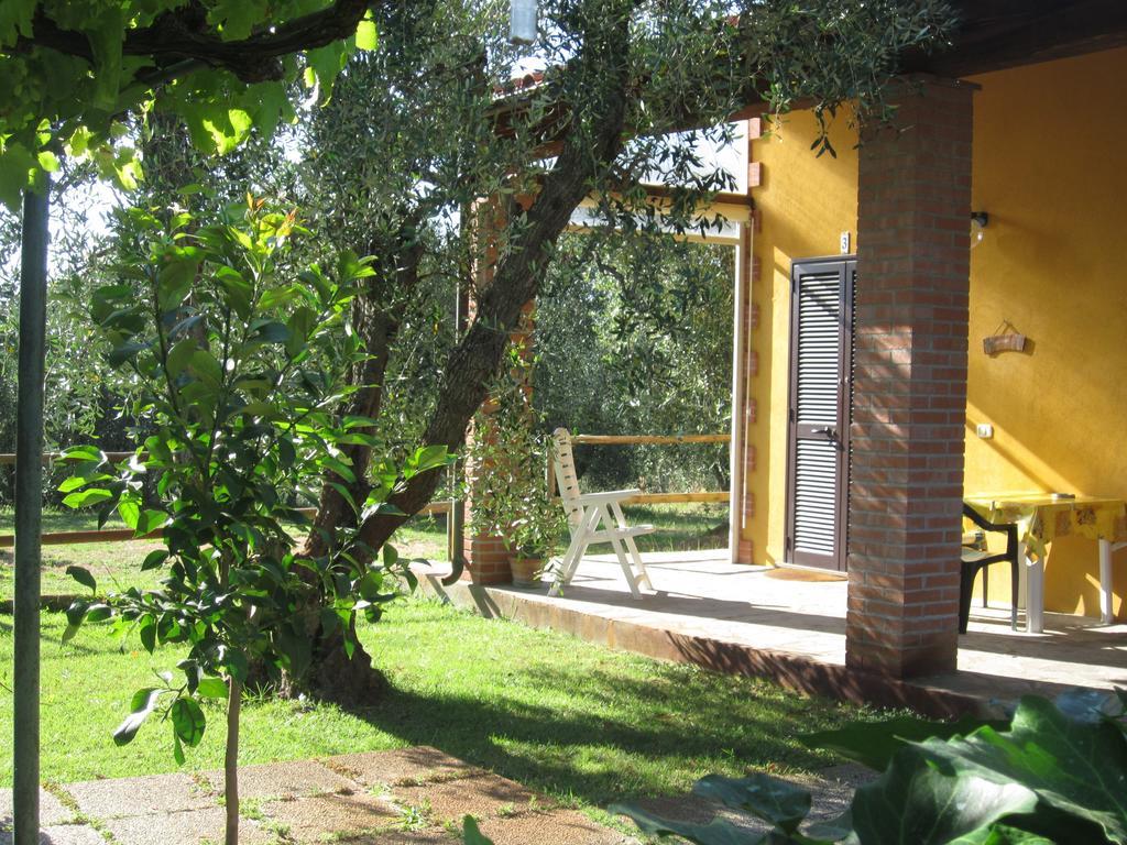 Agriturismo La Carlina Villa Magliano in Toscana Habitación foto